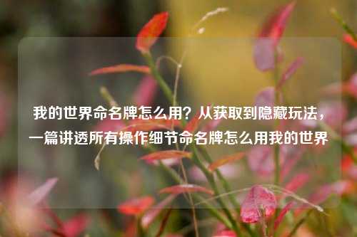 我的世界命名牌怎么用?从获取到隐藏玩法,一篇讲透所有操作细节命名牌怎么用我的世界