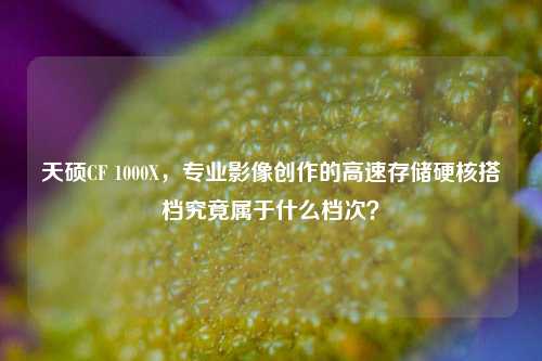 天硕CF 1000X，专业影像创作的高速存储硬核搭档究竟属于什么档次？