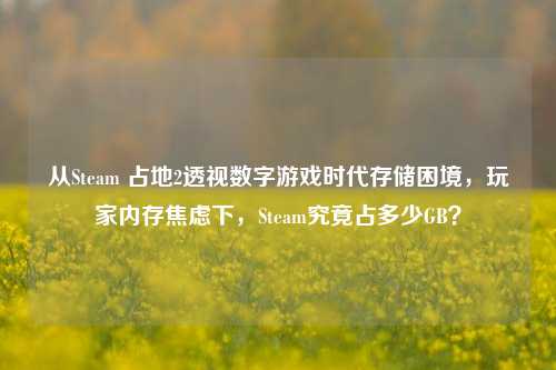 从Steam 占地2透视数字游戏时代存储困境，玩家内存焦虑下，Steam究竟占多少GB？