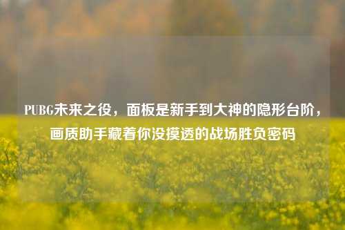 PUBG未来之役，面板是新手到大神的隐形台阶，画质助手藏着你没摸透的战场胜负密码