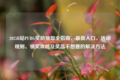 2025B站PUBG奖励抽取全指南，最新入口、活动规则、领奖攻略及奖品不想要的解决方法