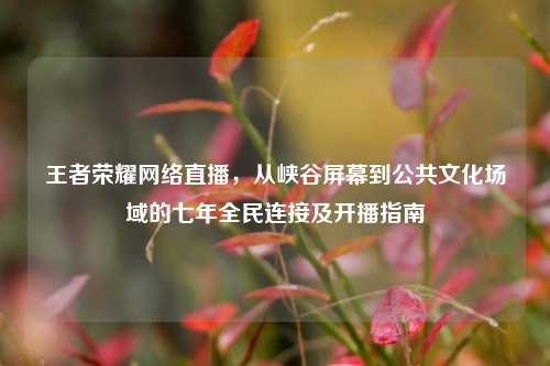 王者荣耀网络直播,从峡谷屏幕到公共文化场域的七年全民连接及开播指南