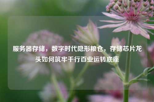 服务器存储，数字时代隐形粮仓，存储芯片龙头如何筑牢千行百业运转底座