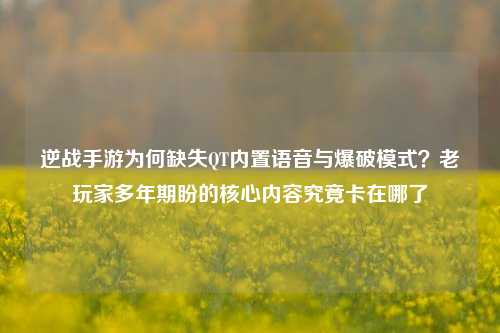 逆战手游为何缺失QT内置语音与爆破模式？老玩家多年期盼的核心内容究竟卡在哪了