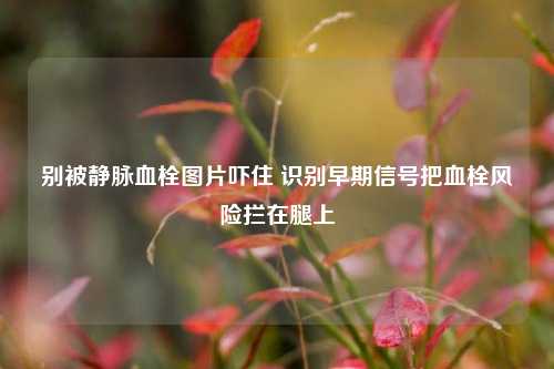 别被静脉血栓图片吓住 识别早期信号把血栓风险拦在腿上