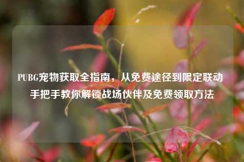 PUBG宠物获取全指南,从免费途径到限定联动 手把手教你解锁战场伙伴及免费领取方法