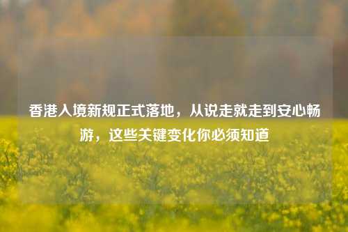 香港入境新规正式落地,从说走就走到安心畅游,这些关键变化你必须知道
