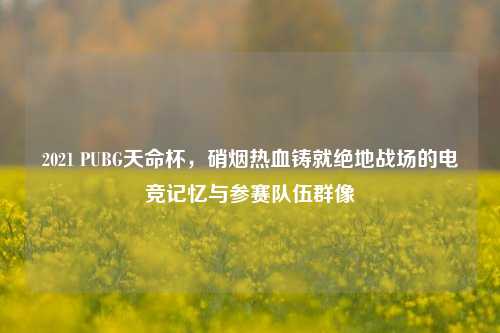 2021 PUBG天命杯,硝烟热血铸就绝地战场的电竞记忆与参赛队伍群像