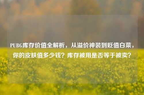 PUBG库存价值全解析，从溢价神装到贬值白菜，你的皮肤值多少钱？库存被用是否等于被卖？