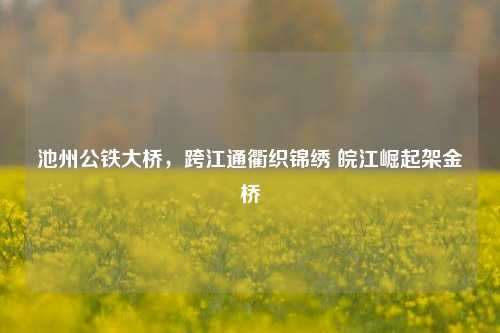 池州公铁大桥，跨江通衢织锦绣 皖江崛起架金桥