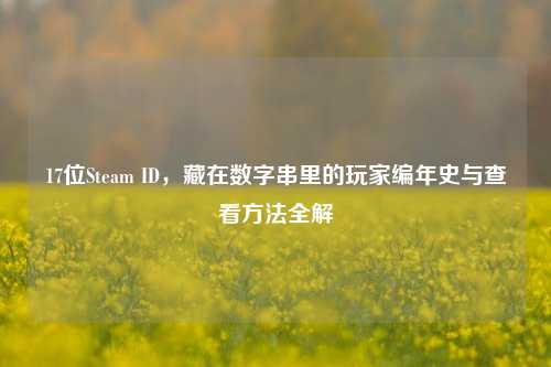 17位Steam ID,藏在数字串里的玩家编年史与查看方法全解