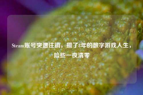 Steam账号突遭注销,攒了8年的数字游戏人生,险些一夜清零