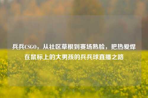 兵兵CSGO,从社区草根到赛场熟脸,把热爱焊在鼠标上的大男孩的兵兵球直播之路