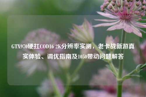 GTX970硬扛COD16 2K分辨率实测,老卡战新游真实体验、调优指南及1050带动问题解答