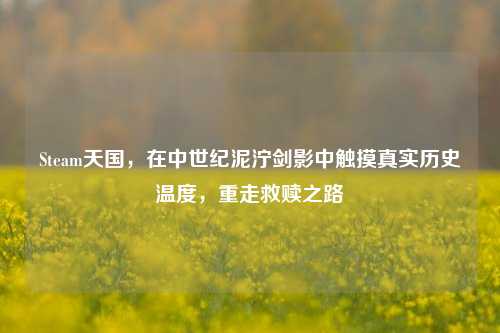 Steam天国,在中世纪泥泞剑影中触摸真实历史温度,重走救赎之路
