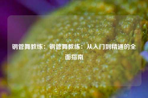钢管舞教练：钢管舞教练：从入门到精通的全面指南