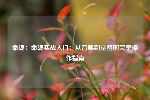 命魂:命魂实战入门:从召唤到觉醒的完整操作指南