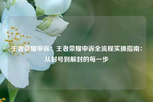 王者荣耀申诉:王者荣耀申诉全流程实操指南:从封号到解封的每一步