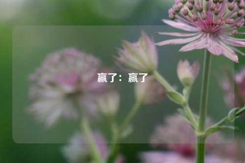 赢了：赢了