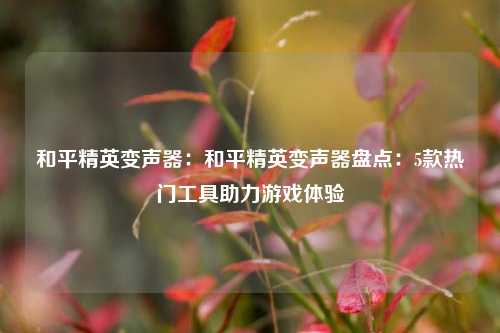 和平精英变声器：和平精英变声器盘点：5款热门工具助力游戏体验