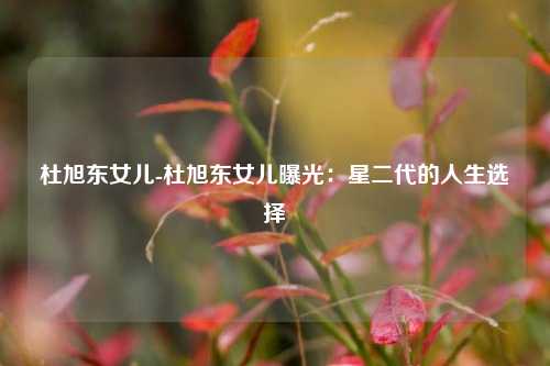 杜旭东女儿-杜旭东女儿曝光:星二代的人生选择