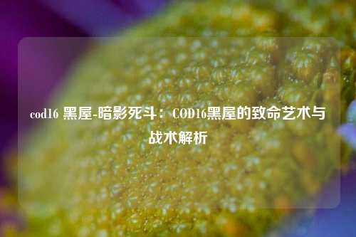 cod16 黑屋-暗影死斗:COD16黑屋的致命艺术与战术解析