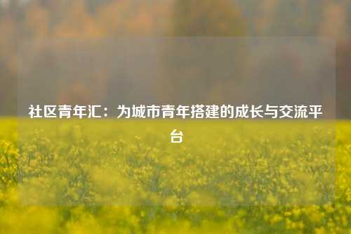 社区青年汇：为城市青年搭建的成长与交流平台