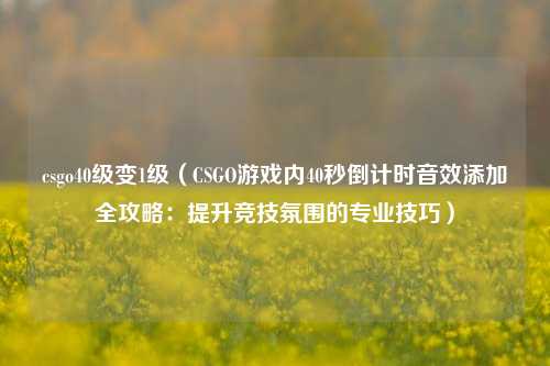 csgo40级变1级(CSGO游戏内40秒倒计时音效添加全攻略:提升竞技氛围的专业技巧)
