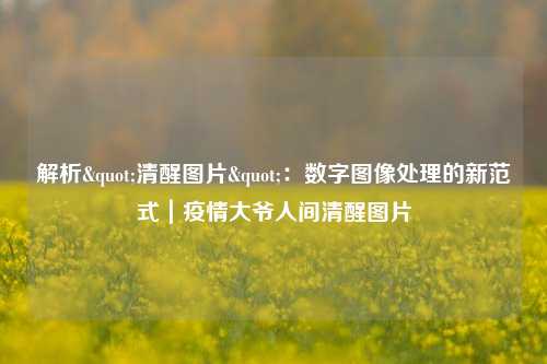 解析"清醒图片":数字图像处理的新范式|疫情大爷人间清醒图片