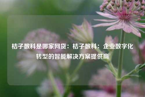 桔子数科是哪家网贷：桔子数科：企业数字化转型的智能解决方案提供商