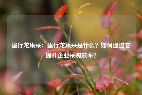 建行龙集采：建行龙集采是什么？如何通过它提升企业采购效率？